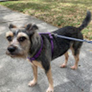 Meet your Posher, Taylor